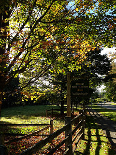 2015 Vermont Woodworking Festival, Billings Farm, Woodstock, VT 