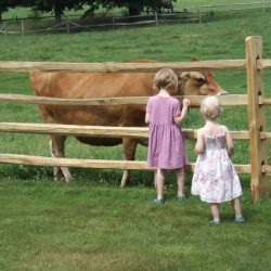 Billings Farm & Museum, Woodstock