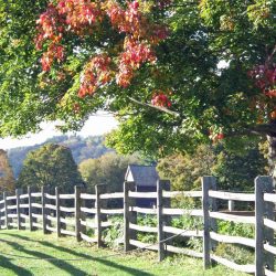 Billings Farm & Museum, Woodstock