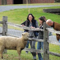Billings Farm & Museum, Woodstock