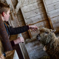 Billings Farm & Museum, Woodstock