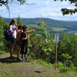 vermont forest festival weekend, national park