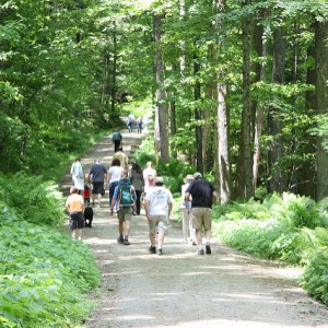 vermont forest festival weekend, national park