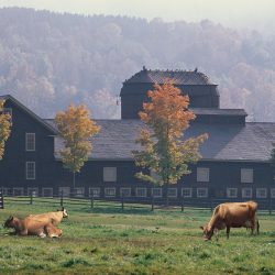 Billings Farm & Museum, Woodstock, Vermont