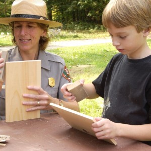 vermont forest festival weekend, national park