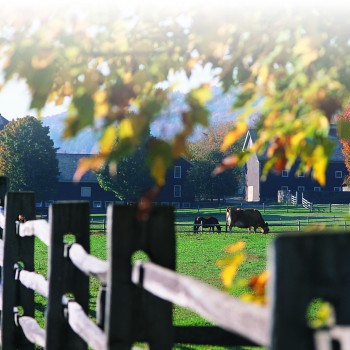 Billings Farm & museum