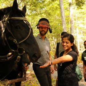 vermont forest festival weekend, national park