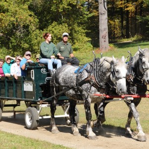 Vermont's National Park, vermont forest festival
