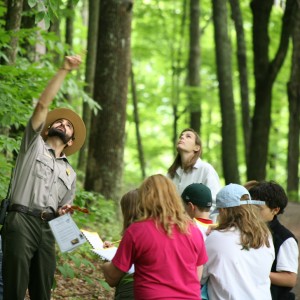 vermont forest festival weekend, national park
