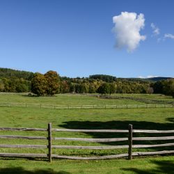 Vermont Woodworking & Forest Festival, Woodstock