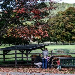 Vermont Woodworking & Forest Festival, Woodstock