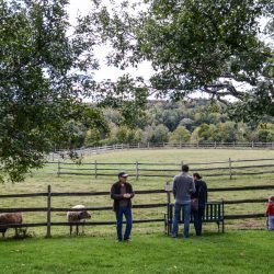 Vermont Woodworking & Forest Festival, Woodstock