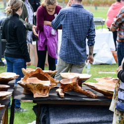 Vermont Woodworking & Forest Festival, Woodstock