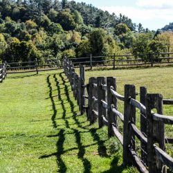 Vermont Woodworking & Forest Festival, Woodstock