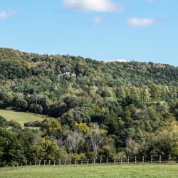 Vermont Woodworking & Forest Festival, Woodstock