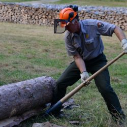 Vermont Woodworking & Forest Festival, Woodstock