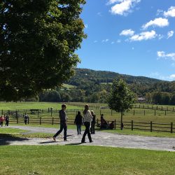 Billings Farm & MUseum-Vermont Woodworking Festival