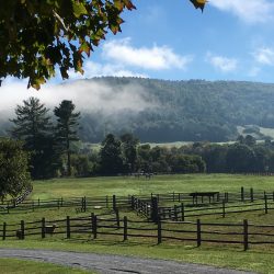 Billings Farm & MUseum-Vermont Woodworking Festival