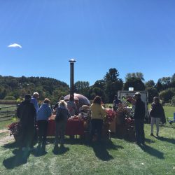 Billings Farm & MUseum-Vermont Woodworking Festival